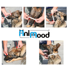 Soft nylon dog muzzle with quick-release fastener Animood