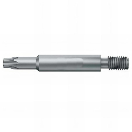 Embout M6 Torx 25 – 1 pièce – Compatible avec vis Torx – Précision et Efficacité - ALSAFIX