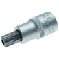 Embout M6 Torx 25 – 1 pièce – Compatible avec vis Torx – Précision et Efficacité - ALSAFIX