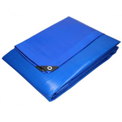 Bâche de Protection 8x10M - Résistante et Durable - Idéale pour Couvrir et Protéger - Beast
