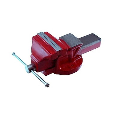 Étau Parallèle 125 mm - Fonte, 7 kg - Résistant et Durable - Beast - Beast
