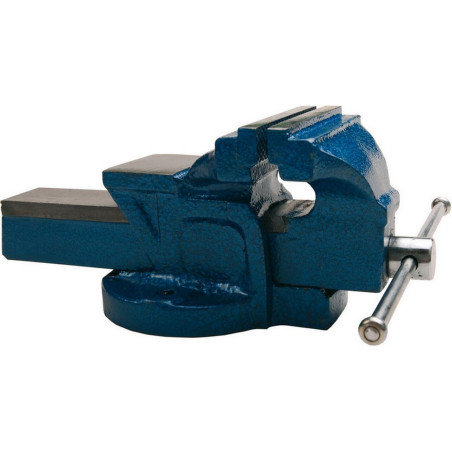 Étau Parallèle 100 mm - Fonte, 5 kg - Résistant et Durable - Beast - Beast
