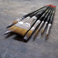 Assortiment de Pinceaux 7x - 7 Pinceaux - Polyvalents pour Peinture - Idéal pour Artistes - Beast