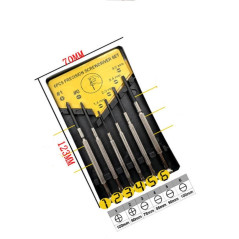 Jeu de Tournevis Horloger 6 pcs - Précision et Polyvalence - Idéal pour Réparations Fines - Beast