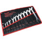 Jeu de Clés Plates 6-32 mm - Acier, Norme CV 12X - Outils Pratiques et Durables - Beast - Beast