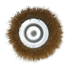 Brosse Couvette Acier 100 mm - Pivot 6 mm - Résistante et Efficace - Beast