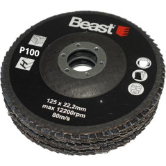 Disques Abrasifs P100 125/22 mm - 3 Pièces - Performance Élevée - Idéal pour Ponçage - Beast