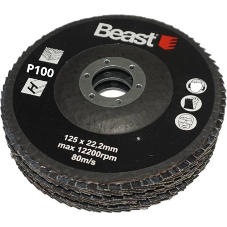 Disques Abrasifs P100 125/22 mm - 3 Pièces - Performance Élevée - Idéal pour Ponçage - Beast