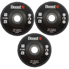 Disques Abrasifs P100 125/22 mm - 3 Pièces - Performance Élevée - Idéal pour Ponçage - Beast