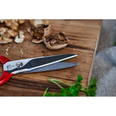 Jeu de Ciseaux Stainless 2x 21-14 cm - Acier Inoxydable - Précision et Durabilité - Beast - Beast
