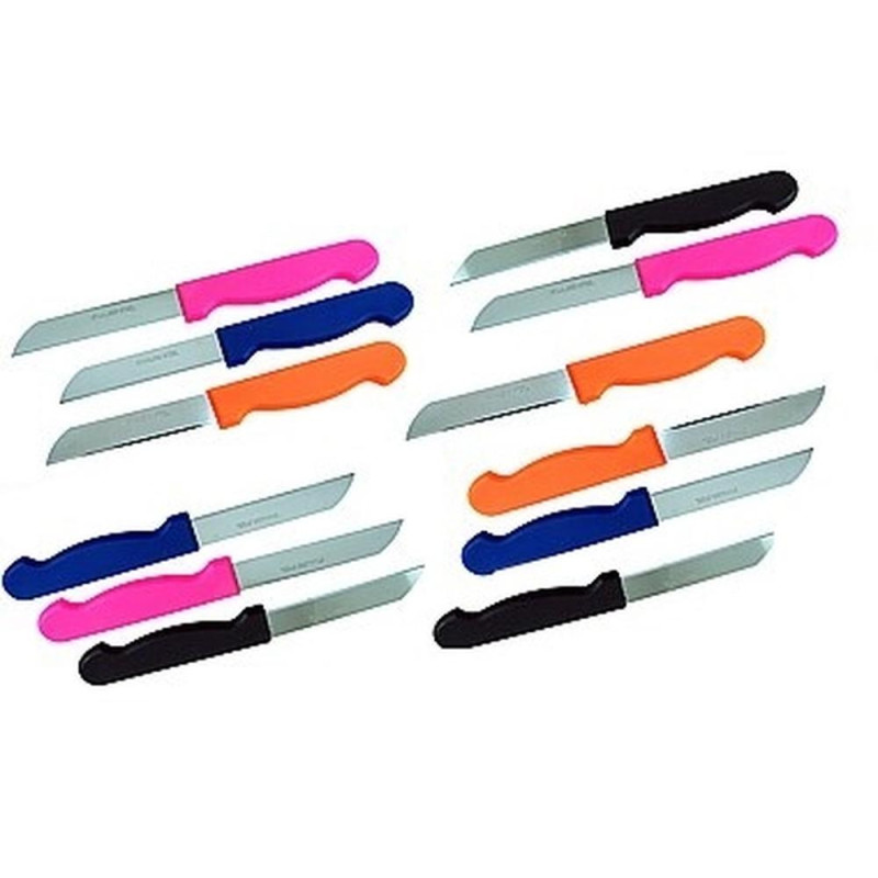 Couteau Color Mix 12x - Utilisation Pratique, Design Coloré - Idéal pour Cuisine - Beast