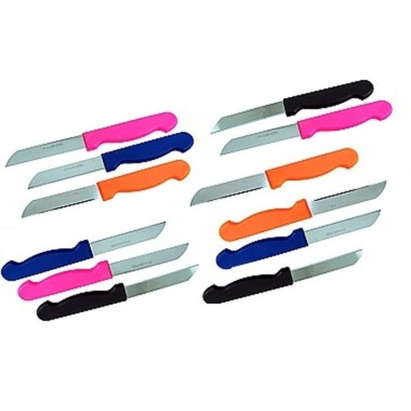 Couteau Color Mix 12x - Utilisation Pratique, Design Coloré - Idéal pour Cuisine - Beast