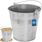 Seau en Métal Zingué 7L - Capacité 7L, Pratique et Durable - Idéal pour le Jardinage - Beast