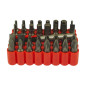 Jeu d'Embouts 33 Bits - CR-V, Magnétiques, Assortiment Complet - Outils Pratiques et Polyvalents - Beast
