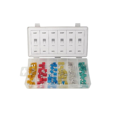 Fusibles de Voiture 120x - Mix Mini Size, 5-30A - Sécurisés et Fiables - Beast - Beast