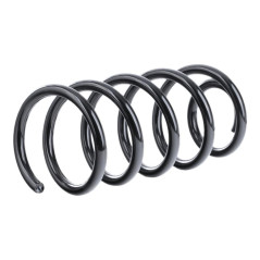 Série de Ressorts 200x - 200 mm - Acier, Résistants et Durables - Beast - Beast