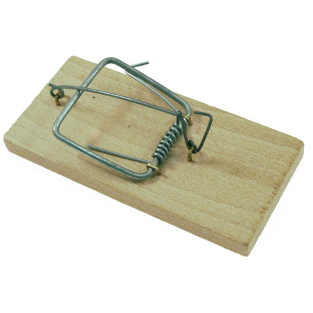 Piège à Souris 5 x 11 x 5 cm - Bois, Efficace et Pratique - Beast - Beast