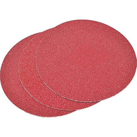 Disques Abrasifs Velcro P60 125 mm - Lot de 20 - Idéal pour Ponçage et Finition - Beast