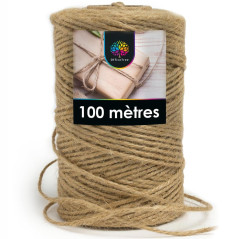 Corde de Jute 100M - 2 mm - Écologique et Résistante - Idéale pour Décorations et Bricolage - Beast