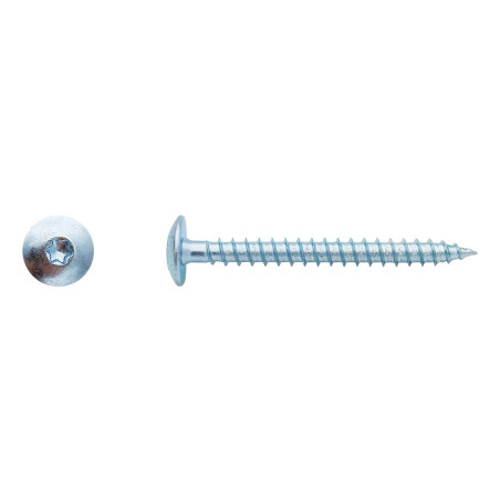 100 Vis Penture Torx 6x60 mm – Zingué Blanc – Fixation Sécurisée et Durable - LENNIE