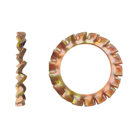 250 Ronds Dents Extérieurs D16 – Zingué Bichro, Norme DIN 6798 – Fixation Sécurisée et Durable - LENNIE