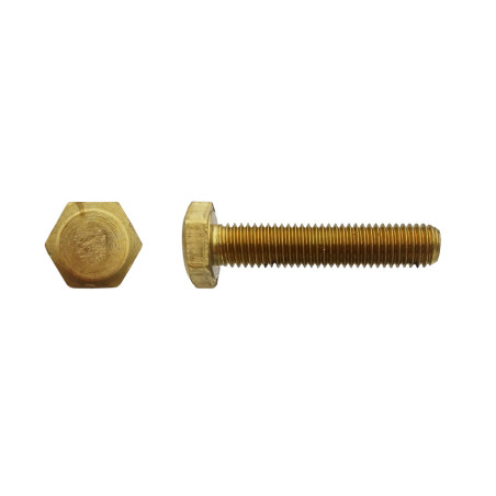 100 Vis à Tête Hexagonale 8x20 mm – Laiton, Norme DIN 933 – Résistantes et Durables - LENNIE