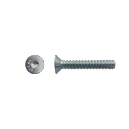 100 Vis à Tête Fraisée 8x45 mm – Acier Zingué Blanc, Norme CL10.9 – Fixation Sécurisée et Durable - LENNIE
