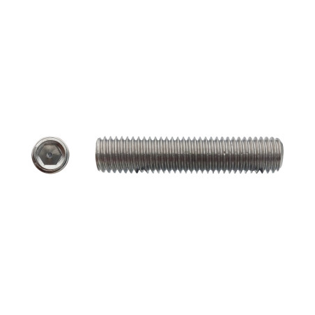 200 Vis HC Bout Cuvette 8 x 8 – Inox A2, Norme DIN 916 – Résistantes et Durables - LENNIE