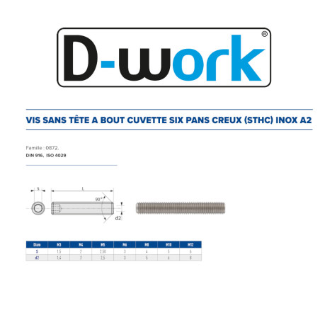 100 Vis HC Bout Cuvette 3 x 3 – Inox A2, Norme DIN 916 – Résistantes et Durables - LENNIE