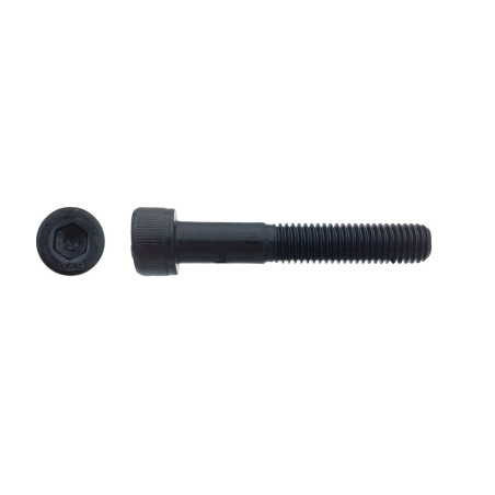 100 Vis CHC 10x55 mm – Acier CL12.9, Norme DIN 912 – Résistantes et Durables - LENNIE
