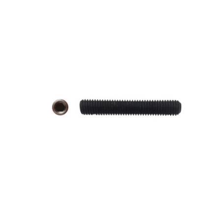 100 Vis HC Bout Cuvette 3x25 mm – Acier Brut, Norme DIN 916 – Fixation Sécurisée et Durable - LENNIE
