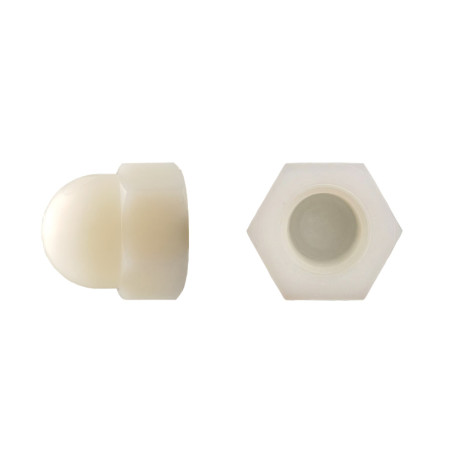100 Ecrous Borgnes M12 mm - DIN 1587 - Polyamide - D-Work