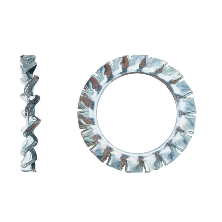 1000 Ronds Dentés Extérieurs D6 – Zingué Blanc, Norme DIN 6798 – Fixation Sécurisée et Durable - LENNIE