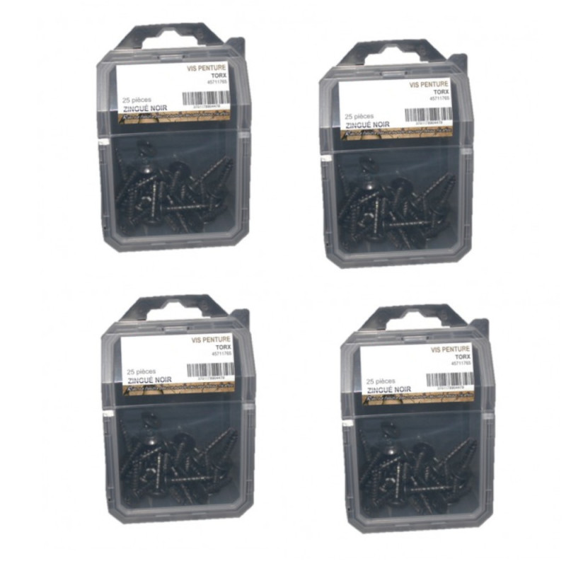 4 x 25 Vis Pent Torx 6x30 mm – Zingué Noir – Fixation Sécurisée et Durable - LENNIE