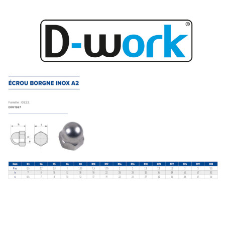 25 Écrous Borgnes M22 – Inox A2, Norme DIN 1587 – Protection et Résistance - LENNIE
