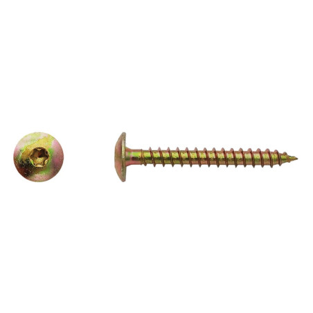 100 Vis Penture Torx 7x40 mm – Zingué Bichro – Fixation Sécurisée et Durable - LENNIE