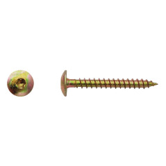 100 Vis Penture Torx 7x60 mm – Zingué Bichro – Fixation Sécurisée et Durable - LENNIE