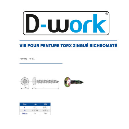 100 Vis Penture Torx 7x40 mm – Zingué Bichro – Fixation Sécurisée et Durable - LENNIE