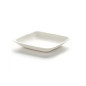 50 Square jars 65 x 65 x Ht. 11mm Cane Pulp Single Use Biodegradable - D-Work 50 Square jars 65 x 65 x Ht. 11mm Cane Pulp Single Use Biodegradable - D-Work