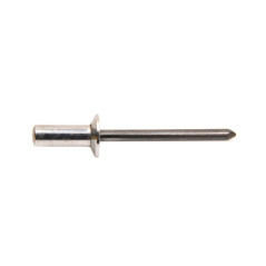 250 Rivets Étanches Aluminium/Acier 4.8x12 mm - Fixation Durable et Résistante - D-Work