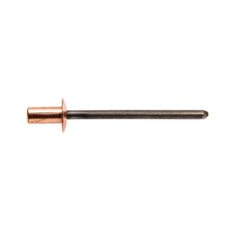 1000 Rivets Étanches Cuivre/Acier TR 3.2x10 mm - Résistants et Fiables - - D-Work