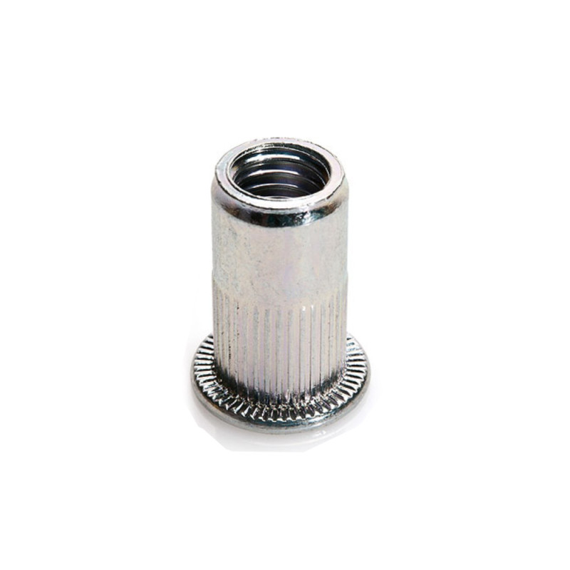 200 Écrous à Sertir Crantés M6 - Acier TP GOFIX - Fixation Sécurisée et Durable - D-Work