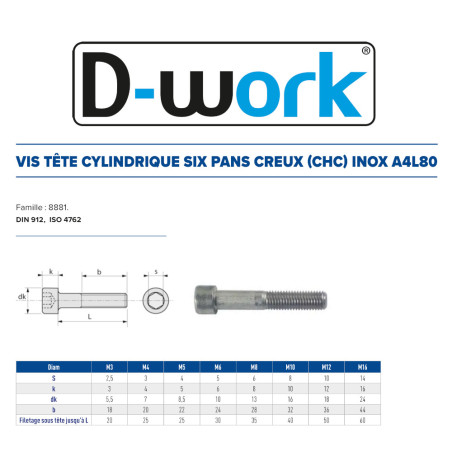 100 Vis CHC 6x20 mm - Inox A4L-80, Norme DIN 912 - Résistantes et Anticorrosion - D-Work