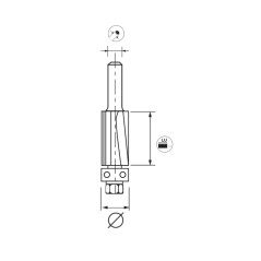 Mèche Affleureuse Droite HM D.19 - Longueur Utile 16 mm, Queue 6 mm - Précision et Finition Parfaite - LEMAN