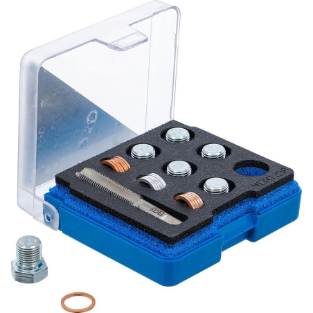 Kit de Réparation pour Carters M13 x 1,25 mm - Complet et Pratique - Réparation Fiable et Durable - BGS