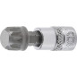 Douille à Embouts 6,3 mm (1/4) - Denture Multiple Intérieure XZN M12 - Précision et Robustesse - D-Work Douille à Embouts 6,3 mm (1/4) - Denture Multiple Intérieure XZN M12 - Précision et Robustesse - D-Work