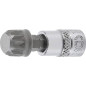 Douille à Embouts 6,3 mm (1/4) - Denture Multiple Intérieure XZN M12 - Précision et Robustesse - D-Work Douille à Embouts 6,3 mm (1/4) - Denture Multiple Intérieure XZN M12 - Précision et Robustesse - D-Work