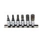 Douille à Embouts 6,3 mm (1/4) - Denture Multiple Intérieure XZN M12 - Précision et Robustesse - D-Work Douille à Embouts 6,3 mm (1/4) - Denture Multiple Intérieure XZN M12 - Précision et Robustesse - D-Work