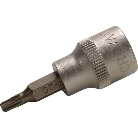 Douille à Embouts 10 mm (3/8) Profil T Torx T20 - Précision et Robustesse, Acier - D-Work
