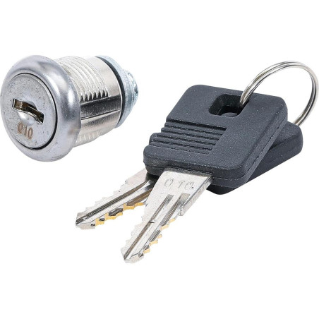 Serrure de Rechange pour Art. 4235 - Clés Comprises - Compacte et Fiable - BGS